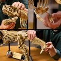 LEGO Jurassic World 76968 Dinosaur Fossils: Tyrannosaurus rex LEGO Jurassic World 76968 Dinosaur Fossils: Tyrannosaurus rex
