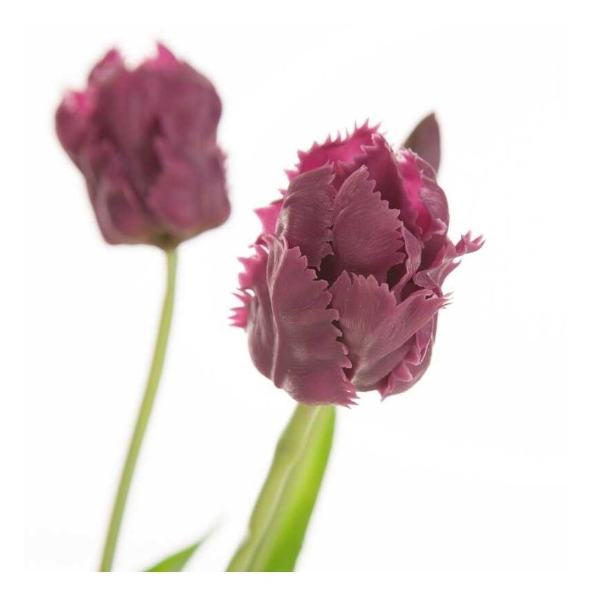 Eurofirany KW/NATU/474/VIOLET VIOLET/ Bouquet – 2