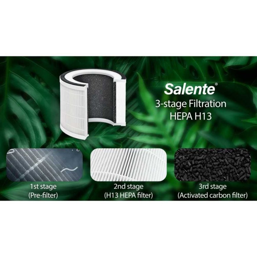 Evolveo Salente pakeitimo filtras MaxClean oro valytuvui – 3