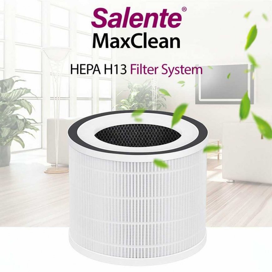 Evolveo Salente pakeitimo filtras MaxClean oro valytuvui – 4