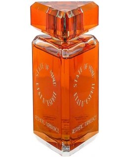 State Of Mind Aesthetic Turbulence 100ml perfume Unisex EDP