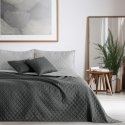 Lina AXEL hall värv lihtne materjalitüüp - tekstiil mikrokiud 170x210 DecoKing Lina AXEL hall värv lihtne materjalitüüp - tekstiil mikrokiud 170x210 DecoKing