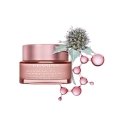 Clarins Multi-Active Dieninis kremas Veidas 50 ml Clarins Multi-Active Dieninis kremas Veidas 50 ml
