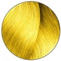 L'oreal Professionnel Dia Light Gel-Creme Amonia vaba juuksevärv 8,18 50ml L'oreal Professionnel Dia Light Gel-Creme Amonia vaba juuksevärv 8,18 50ml