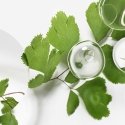 Sisley Ecological Compound Advanced Formula 60 ml Sisley Ecological Compound Advanced Formula 60 ml