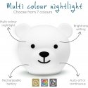 Zazu Bor the Bear night light Zazu Bor the Bear night light