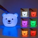 Zazu Bor the Bear night light Zazu Bor the Bear night light