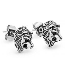 Troli Design steel earrings Lev KS-142