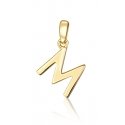 JVD Minimalistinis auksiniu dengtas raide "M" pakabukas SVLP0948XH2GO0M JVD Minimalistinis auksiniu dengtas raide "M" pakabukas SVLP0948XH2GO0M