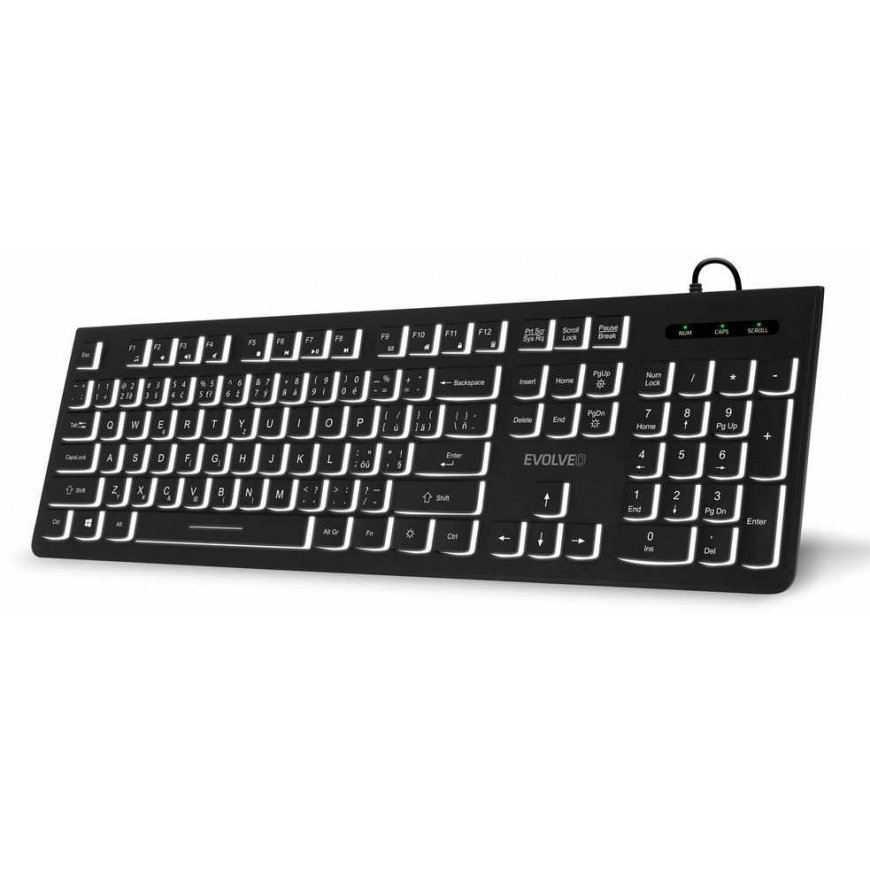 EVOLVEO keyboard K1010, silent, wired USB, backlight, CZ+SK, black