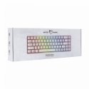 White Shark RONIN White klaviatūra Universalus USB QWERTY Anglų Balta White Shark RONIN White klaviatūra Universalus USB QWERTY Anglų Balta