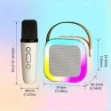 Riff K12 Portable BT karaoke system with 2 Wireless mics Pink