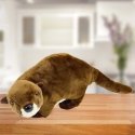 Lean Toys Pliušinis žaislas Ūdra, minkštas žaislas, rudas, 37 cm Lean Toys Pliušinis žaislas Ūdra, minkštas žaislas, rudas, 37 cm