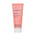 Curl Shampoo - Šamponas Curl Shampoo - Šamponas