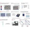 Kvadratinis adapterio pagrindas DNR GALVUTĖS PLOKŠTĖ 1 Kvadratinis adapterio pagrindas DNR GALVUTĖS PLOKŠTĖ 1