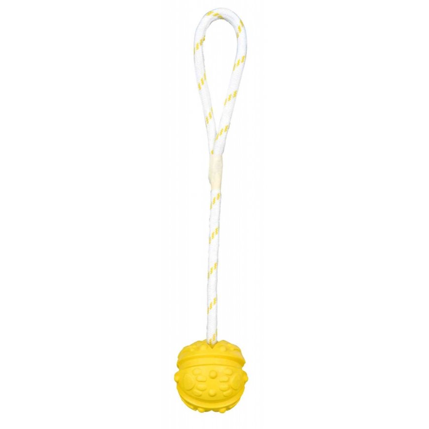 TRIXIE Aqua Toy Ball on Rope