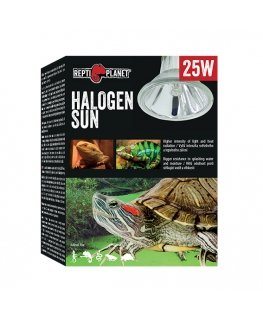 Repti Planet 007-41231 roomaja soojenduslamp 25 W 1 tk