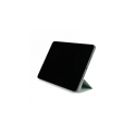 Pomoloģiskā grāmata - aizsargapvalks iPad 10.9" 10G (piparmētru svaigums)