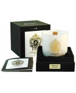Tiziana Terenzi Baltos scented candle 170 g
