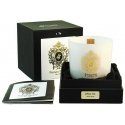 Tiziana Terenzi Baltos scented candle 170 g