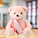 Lean Toys Pliušinis žaislinis talismanas meškiukas su šaliku, rožinis, 35 cm Lean Toys Pliušinis žaislinis talismanas meškiukas su šaliku, rožinis, 35 cm