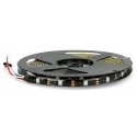 Btf Lighting RGB LED juosta WS2812B - skaitmeninė, adresuota - IP65 30LED/m, 9W/m, 5V - 5m - juoda Btf Lighting RGB LED juosta WS2812B - skaitmeninė, adresuota - IP65 30LED/m, 9W/m, 5V - 5m - juoda
