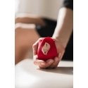 Skaistā roze mirdzošs prieks pašmīlestība sarkana Skaistā roze mirdzošs prieks pašmīlestība sarkana