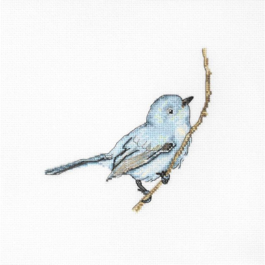 luca S Bluebird SB1158 – 2