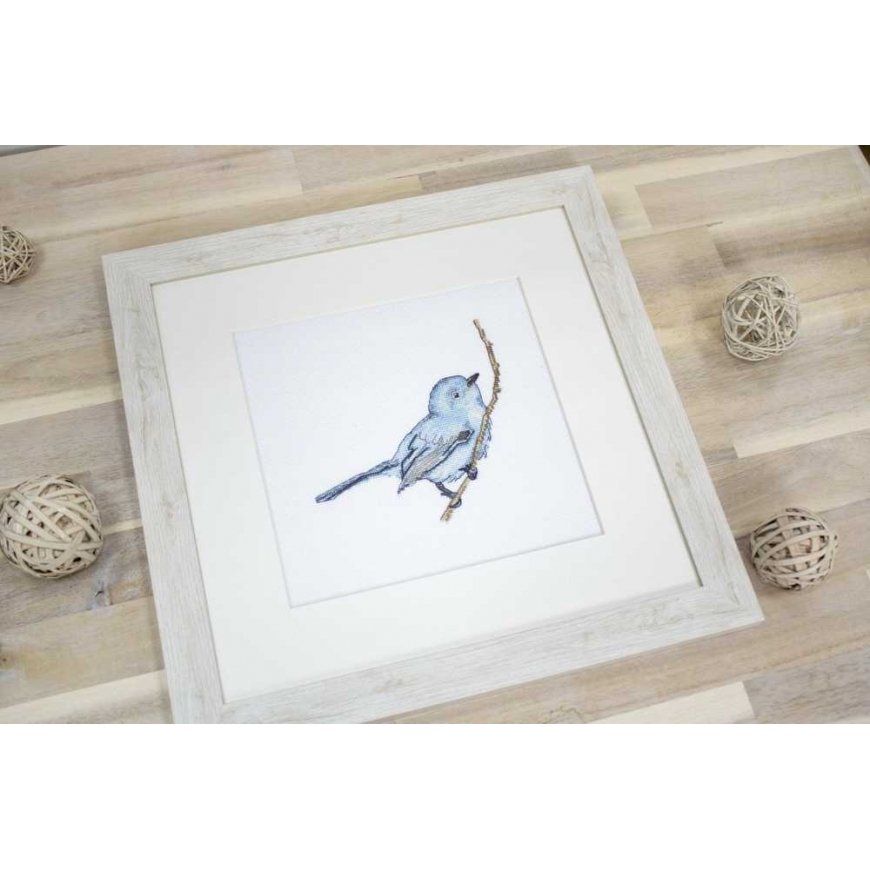 luca S Bluebird SB1158 – 4