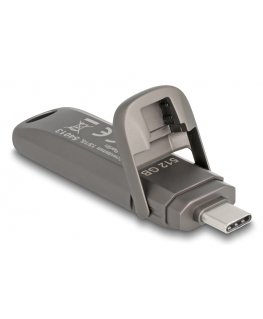 DeLOCK 54013 USB-muisti 512 GB USB Type-C Harmaa