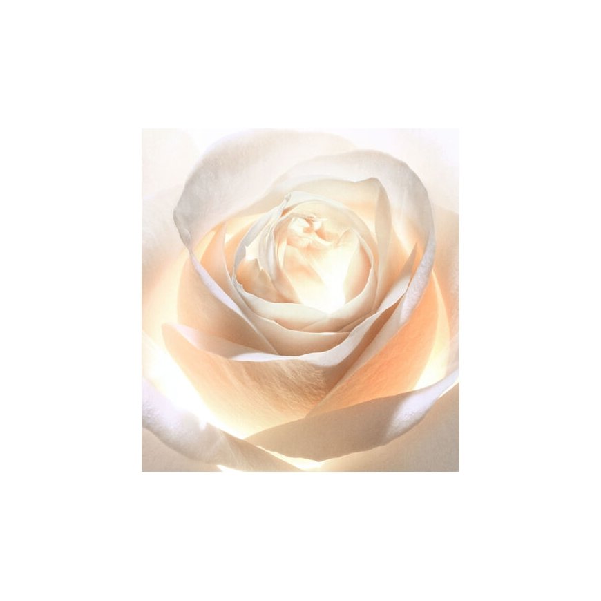 Dior Prestige Light-In-White L'oléo-essence lumière Näoessents 150 ml Naised – 2