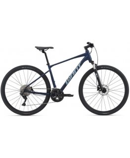 Krosinis dviratis Giant Roam 1 Disc Metalinė jūra