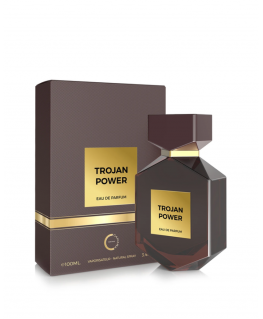 Camara Trojan Power EDP parfüümvesi meestele, 100 ml