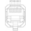 Phoenix Contact VS-08-RJ45-5-Q / IP20 RJ-45 Grey Phoenix Contact VS-08-RJ45-5-Q / IP20 RJ-45 Grey