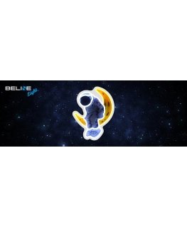 Neon Beline Valo Astronautti Kuussa