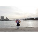 Panasonic Lumix S1IIE Runko Panasonic Lumix S1IIE Runko