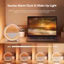 Elight G formos garsiakalbio lemputė su RGB LED apšvietimu ir be Elight G formos garsiakalbio lemputė su RGB LED apšvietimu ir be