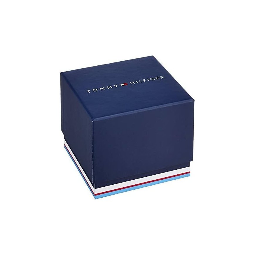 VYRIŠKAS LAIKRODIS TOMMY HILFIGER MASON (zf035a) – 2