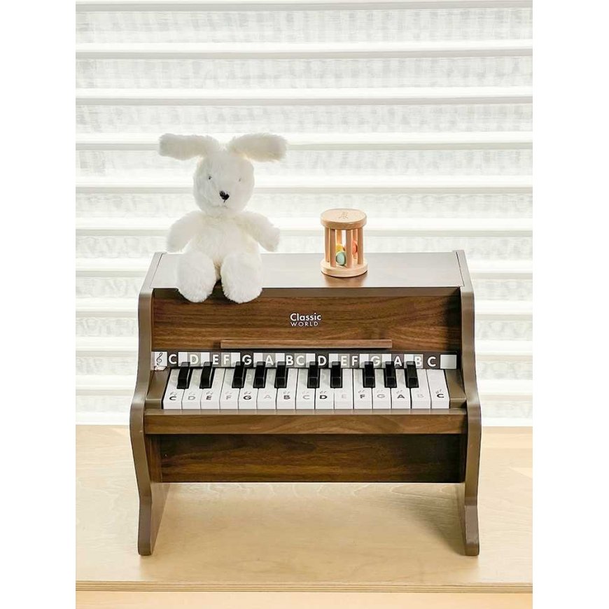 CLASSIC WORLD wooden classical piano + learning book – 4