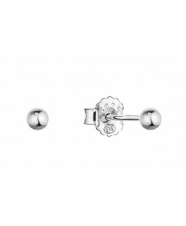 Evolution Group Silver earrings with pins 61013