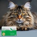 JM SANTE Multiway Vet Duocaps - atsukamos kapsulės šunų ir kačių kailiui ir odai – 60 vnt. JM SANTE Multiway Vet Duocaps - atsukamos kapsulės šunų ir kačių kailiui ir odai – 60 vnt.