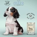 OLLO Puppy Umami naudanjauheliha ja vihreät sisäelimet ankka maksalla - märkä koiranruoka - 850g