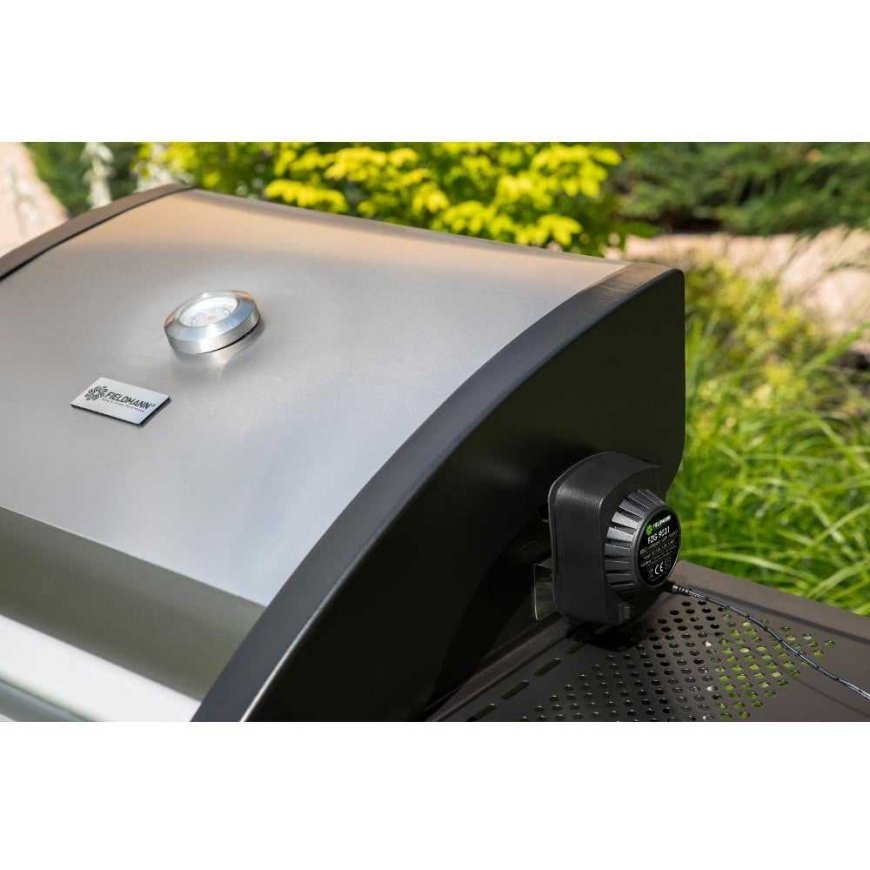 Fieldmann FZG 9031 Grilēšanas adata ar motoru – 2
