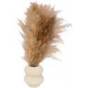 Atmosphera Pampas grass GLEN composition in a ceramic vase, height 42 cm. Atmosphera Pampas grass GLEN composition in a ceramic vase, height 42 cm.