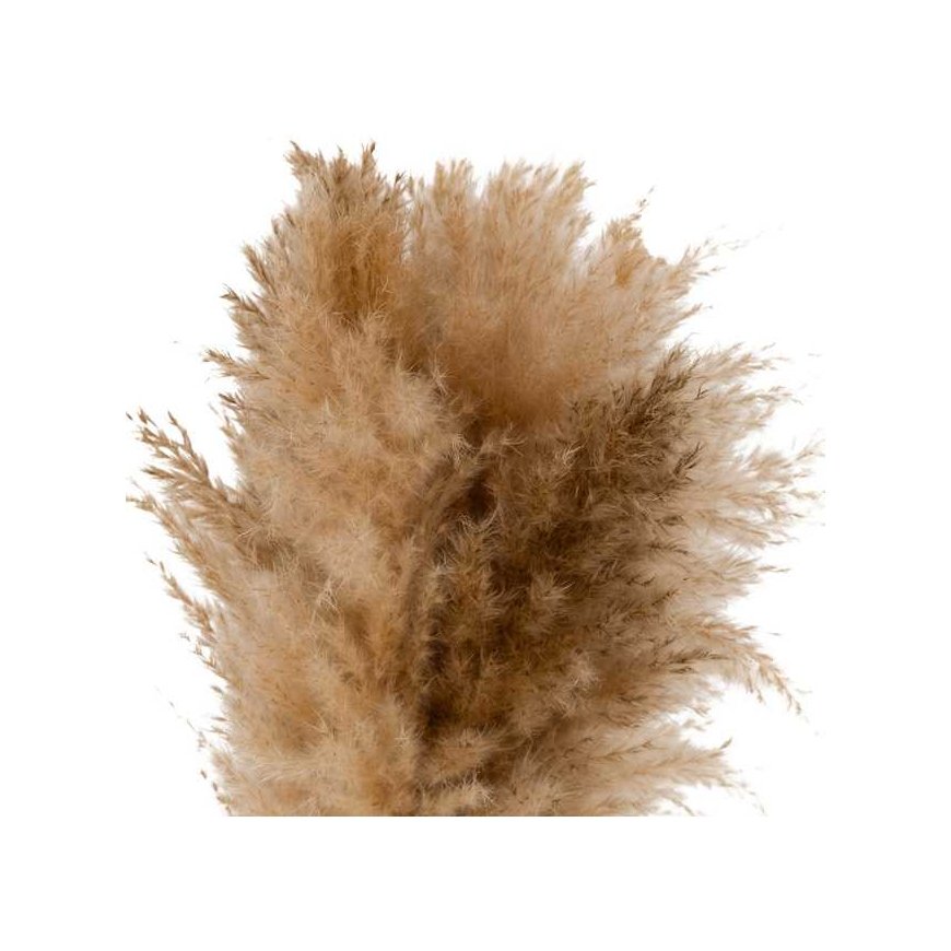 Atmosphera Pampade rohu GLEN kompositsioon keraamilises vaasis, kõrgus 42 cm. – 5