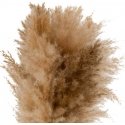 Atmosphera Pampasruoho GLEN -koostumus keraamisessa maljakossa, korkeus 42 cm.