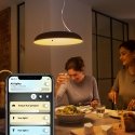 Philips Hue White ambience Amaze suspension light Philips Hue White ambience Amaze suspension light