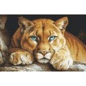 набор для вышивания Лука С Крижелио "Дикая душа" 48x32см SBU5081