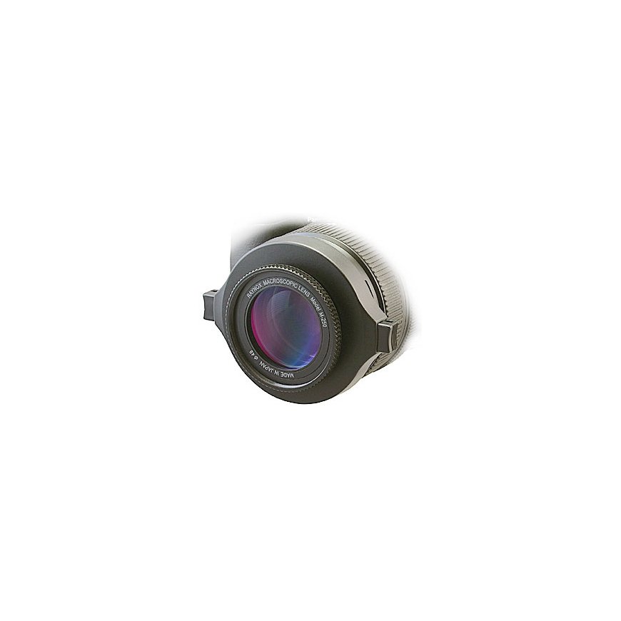 Raynox DCR-250 Camcorder Macro lens Black