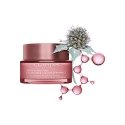 Clarins Multi-Active Night cream Лицо 50 ml Clarins Multi-Active Night cream Лицо 50 ml